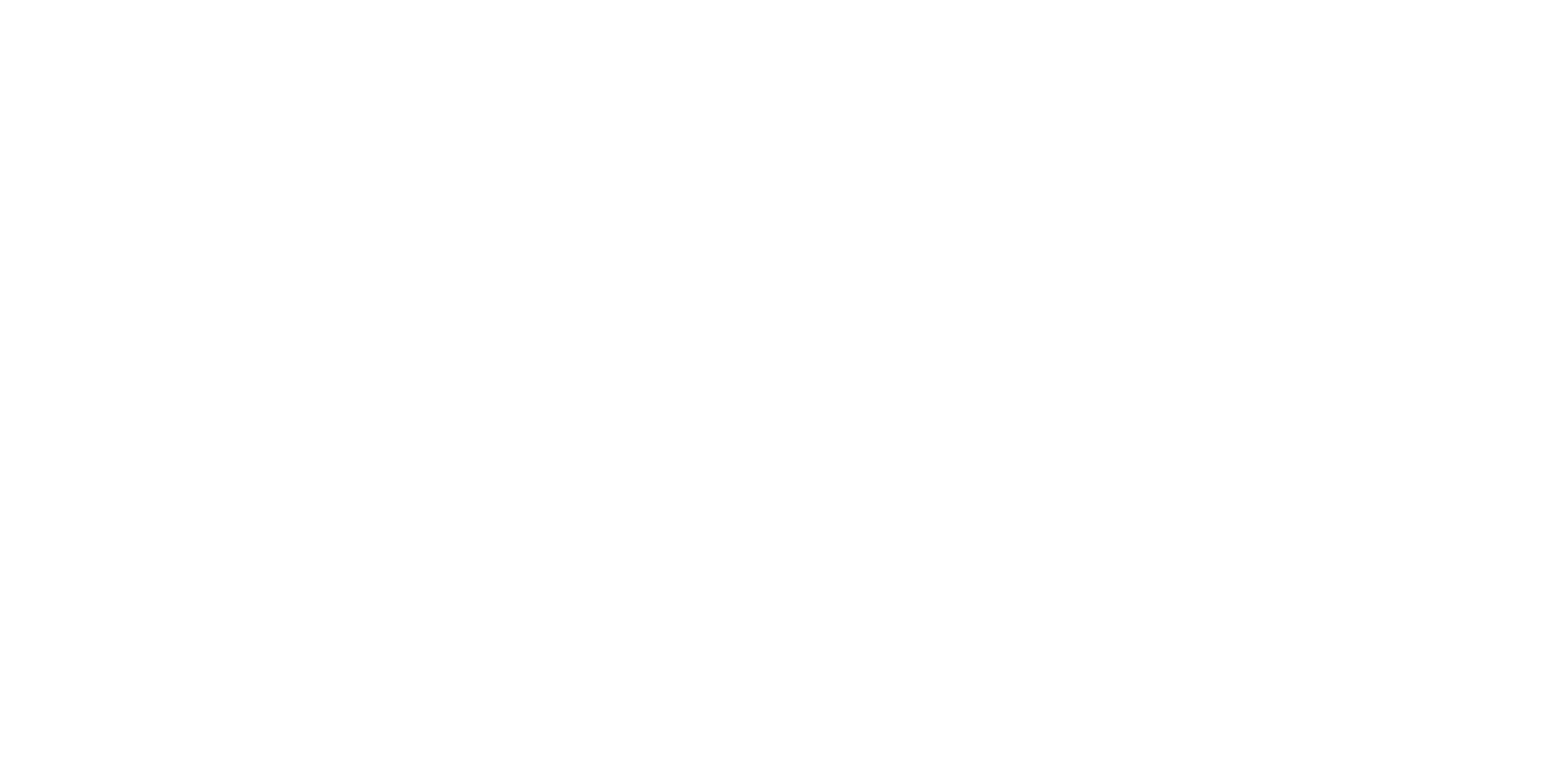 *NC Cyber Academy